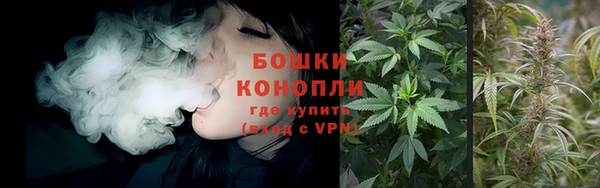 стаф Богородск
