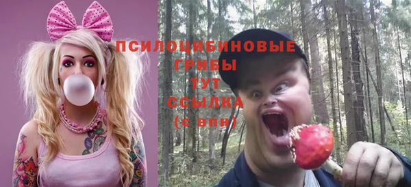 стаф Богородск