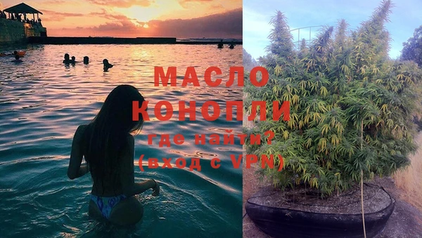 стаф Богородск