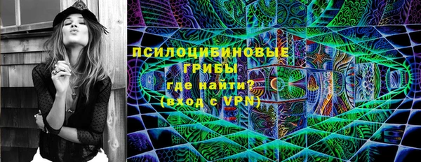 стаф Богородск