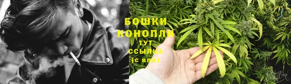 дживик Богданович