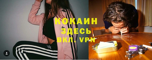 дживик Богданович
